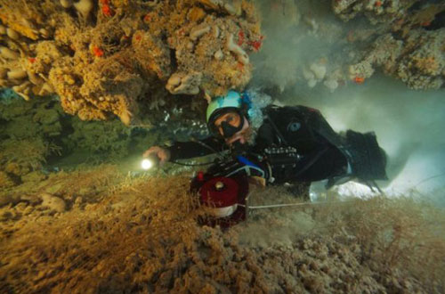 Những hang động kỳ thú dưới đáy biển Bahamas, Du lịch, du lich, du lich viet nam, du lich the gioi, du lich 2012, kinh nghiem du lich, du lich chau au, du lich chau a, kham pha the gioi, dia diem du lich