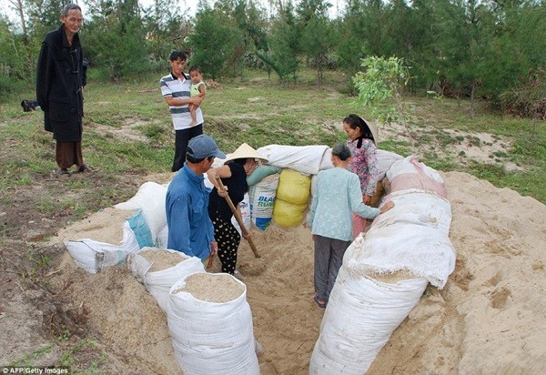 Hình ảnh Việt Nam phòng chống bão Haiyan trên báo nước ngoài 14