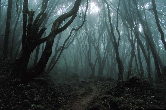 3. Rừng tự sát, Nhật Bản: Aokigahara là một khu rừng nằm ở chân núi Fuji. Cây mọc dày đặc tới mức gió không thể lọt vào và gần như không có động vật sinh sống. Vì thế, khu rừng im ắng đến rợn người, truyền thuyết xa xưa kể rằng trong rừng có ma quỷ. Ngày nay, đây là một nơi thường xuyên diễn ra các vụ tự tử đến mức chính phủ Nhật phải đặt các biển báo khuyên mọi người suy nghĩ lại. Nếu tới đây, bạn sẽ thấy không khí âm u, đáng sợ, đôi khi bắt gặp những sợi dây thòng lọng hay những đồ vật mà người tự sát bỏ lại.