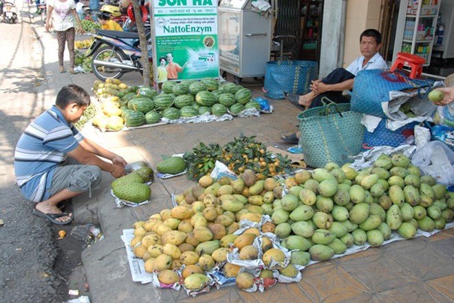 Nông dân đem xoài ra chợ bán hy vọng được giá cao, nhưng do đụng hàng xoài chín mùi nên vừa bán vừa tặng cho khách, để mời khách mua với số lượng lớn. 