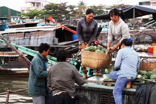 Nông sản miền Tây Nam Bộ Giờ này cũng là lúc chợ nổi sôi động nhất, cả khu chợ như phình to ra, lấn gần hết cả lòng sông. Mọi thứ âm thanh bắt đầu rối loạn nào thì tiếng máy nổ, nào thì tiếng chèo khua nước, tiếng sóng vỗ òm oạp vào mạn thuyền rồi tiếng cười nói, tiếng người mua kẻ bán, tất cả tạo nên một sự sô bồ và sầm uất không kém gì những khu chợ trên cạn.