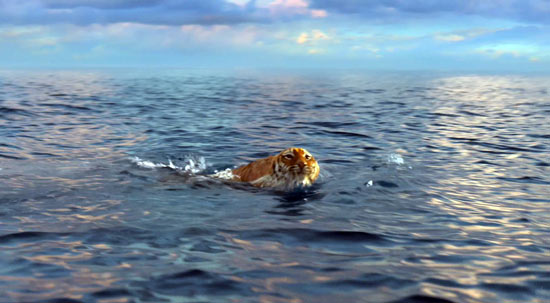 Bật mí cách tạo con hổ bằng kỹ xảo trong Life of Pi