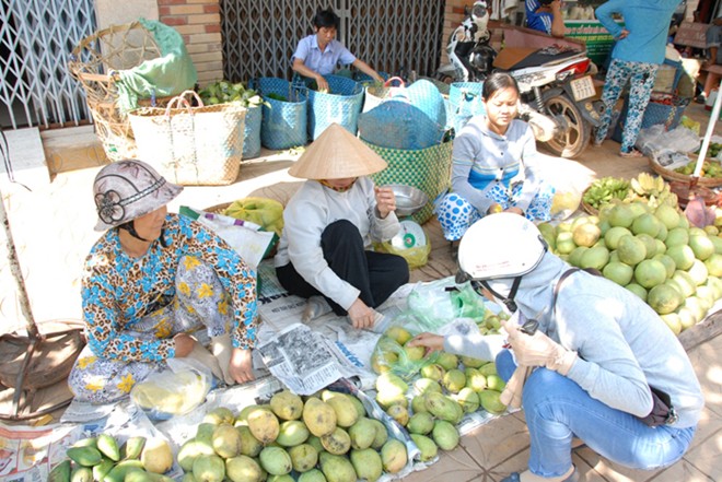 Mấy tuần nay, miền Tây đang bước vào mùa xoài, nên loại quả này xuất hiện tràn ngập ở các chợ hoặc bày bán khắp hè phố các quận, huyện trung tâm.